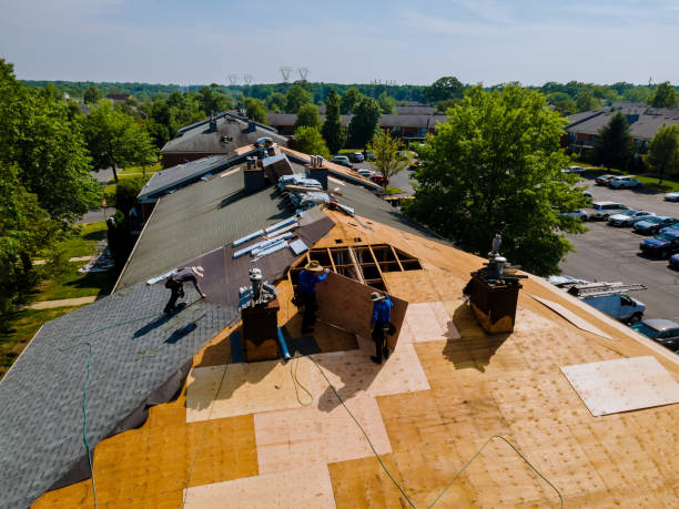 Trusted Roof Installation service in Mandeville, LA - Brentwood Metal Roofing